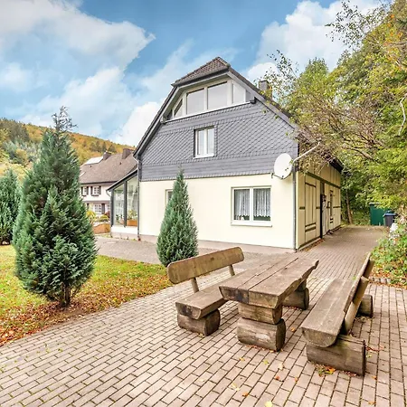 In Brilon-wald Near Area Brilon