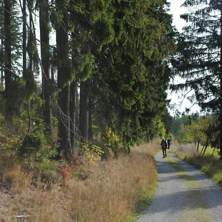 Ferienhaus In Brilon-wald Near Area