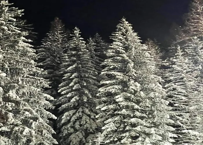 Madfeld Retreat Prázdninový dům